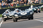 Jaguar D-Type "Long Nose" (1955) – "Salvadori Cup" für Rennsportwagen von 1955 bis 1960