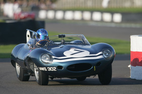 Bild zu Artikel Eigenes Jaguar D-Type Rennen am Goodwood Revival 2014 zum 60-jährigen Jubiläum