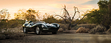 Jaguar D-Type XKD 403 (1954) - als Lot 250 an der RM/Sotheby's Arizona Versteigerung am 19. Januar 2018 (© Patrick Ernzen - Courtesy RM Sotheby's, 2017) Jaguar D-Type XKD 403 (1954) - als Lot 250 an der RM/Sotheby's Arizona Versteigerung am 19. Januar 2018 (© Patrick Ernzen - Courtesy RM Sotheby's, 2017)