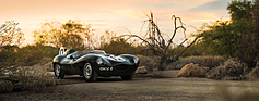 Jaguar D-Type XKD 403 (1954) - als Lot 250 an der RM/Sotheby's Arizona Versteigerung am 19. Januar 2018