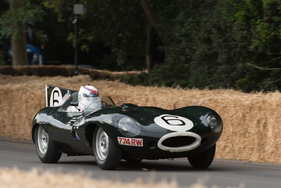Jaguar D-Type 'long-nose' (1955) - am Goodwood Festival of Speed 2015