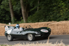 Jaguar D-Type 'long-nose' (1956) - am Goodwood Festival of Speed 2015