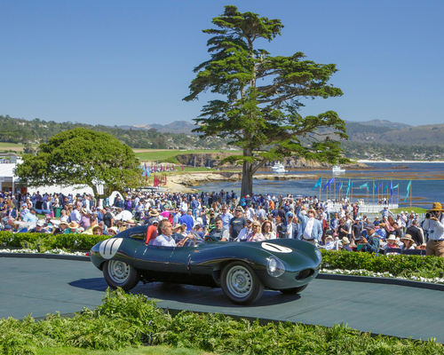Jaguar D-type Race Car (1955) - 1. Rang in der Klasse O-1 beim Pebble Beach Concours d'Elegance 2024