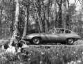 Jaguar E-Type 2+2 (1967) - Seitenansicht, in der Natur