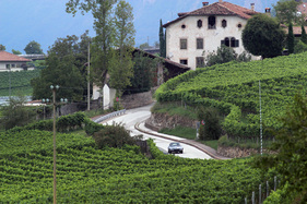 Jaguar E-Type 4,2 Litre (1966) - ADAC Trentino Classic 2013 - Oldtimer-Wanderung um den Autozug-Pokal