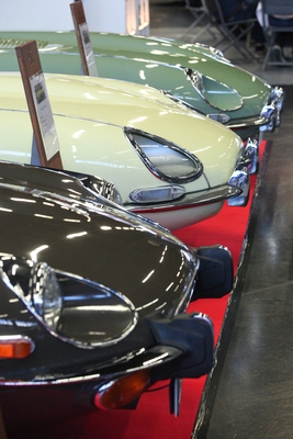 Jaguar E-Type Coupés in Reih' und Glied - Classic Expo Salzburg 2019