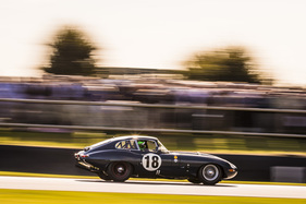 Jaguar E-Type FHC (1962) - im Rennen um die Kinrara Trophy - Goodwood Revival 2018