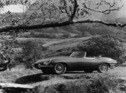 Jaguar E-Type Roadster (1967) - Seitenansicht, in der Natur