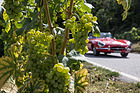 Bild: Jaguar E-Type S1 OTS (1962) - an der Jungfrau-Rallye 2014
