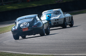 Jaguar E-Type Semi Lightweight (1961) - Royal Automobile Club TT Cup - Goodwood Revival 2021