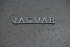 Jaguar E-Type Serie 1 von 1963 - Jedes Kind kannte den Jaguar, der Schriftzug wäre gar nicht nötig gewesen