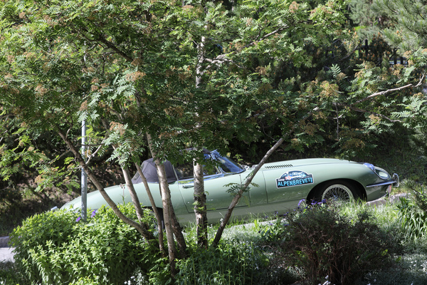 Jaguar E-Type Series 2 OTS (1968) - 30. BCCM St. Moritz “Safari Edition” 2024