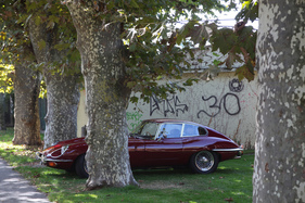 Jaguar E Type Series 2 - im Park - Swiss Classic British Car Meeting Morges 2017