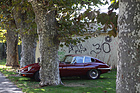 Jaguar E Type Series 2 - im Park - Swiss Classic British Car Meeting Morges 2017