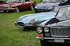 Jaguar E-Type im Kreise seiner Namensvettern - 35. British Car Meeting auf dem Flugplatz Mollis
