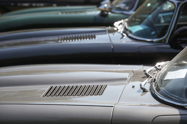 Jaguar E-Type in Reih' und Glied - Concours d'Elégance Suisse Coppet 2022
