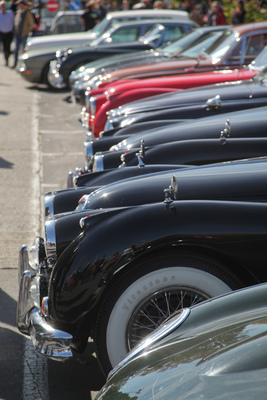 Jaguar-Klassiker soweit das Auge blicken kann - Swiss Classic British Car Meeting Morges 2017