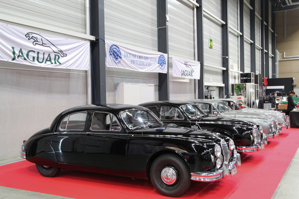 Jaguar MK 1 (1957) - noch mit Spats und schmalem (XK) Kühergrill, auf dem Clubstand - Swiss Classic World Luzern 2019