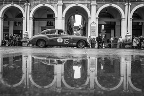 Jaguar MK VII (1951) - an der Mille Miglia 2016 (1951)