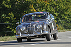 Jaguar Mk II 3.8 (1961) - Kategorie S - Renn- und Strassensportwagen am Memorial Bergrennen Opfershofen "Rendezvous am Kleinen Klausen" 2021