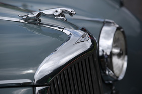 Jaguar Mk VII (1953) - das Raubtier auf der Motorhaube - am British Car Meeting 2013 in Mollis (1953)