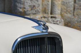 Jaguar Mk VII Beutler Cabriolet (1953) - Jaguar-Emblem oberhalb des Kühlergrills (1953)