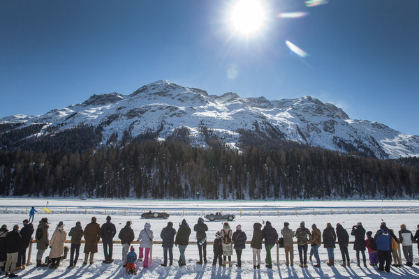 Jaguar-Pärchen vor grossem Publikum - The I.C.E. St. Moritz 2022