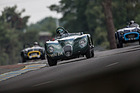 Bild: Jaguar Type C (1952) - Le Mans Classic 2018 - Plateau 2