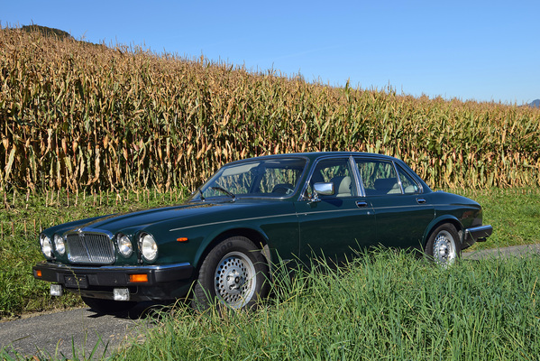 Jaguar XJ 12 Sovereign (1986) - angeboten an der Versteigerung der Oldtimer Galerie in Toffen am 29. November 2014