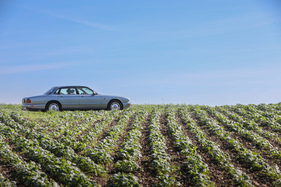 Jaguar XJ6 3.2 Executive (1997) - zurückhaltende Eleganz passt immer