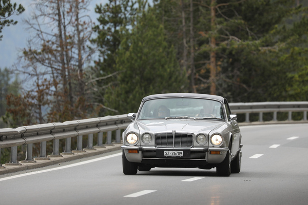 Jaguar XJ6 4.2 C (1978) - 30. BCCM St. Moritz “Safari Edition” 2024