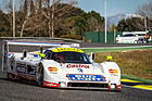 Jaguar XJR16 Bud Light (1991) an der Jarama Classic 2016