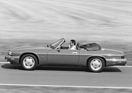 Jaguar XJS Convertible (1994) – Trotz über 20'000 Franken Aufpreis gegenüber dem Coupé erfreute sich das Cabriolet bis zum Ende grosser Beliebtheit