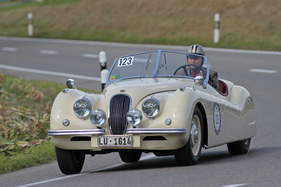 Jaguar XK 120 (1950) - am Bergrennen Steckborn-Eichhölzli 2015 Jaguar XK 120 (1950) - am Bergrennen Steckborn-Eichhölzli 2015