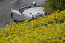 Jaguar XK 120 (1951) - GP Mutschellen 2016 (© Daniel Reinhard, 2016) Jaguar XK 120 (1951) - GP Mutschellen 2016 (© Daniel Reinhard, 2016)