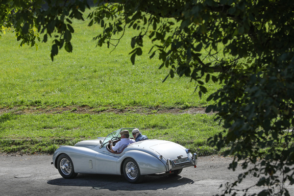 Jaguar XK 120 (1952) – Albisgütli Classic Cars & Bikes Oktober 2023