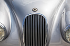 Jaguar XK 120 (1952) - das Jaguar-Zeichen auf dem Bug