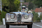 Artikelbild Steckborn-Eichhölzli hill climb 2015 - a village in racing fever