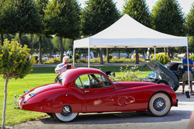 Jaguar XK 120 FHC (1951) - 2678 Exemplare wurden von 1951 bis 1954 gebaut - 20. ASC Classic-Gala Schwetzingen 2024