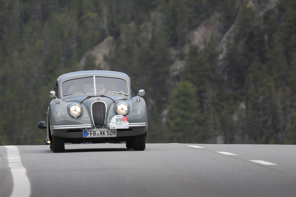 Jaguar XK 120 FHC (1952) - 30. BCCM St. Moritz “Safari Edition” 2024