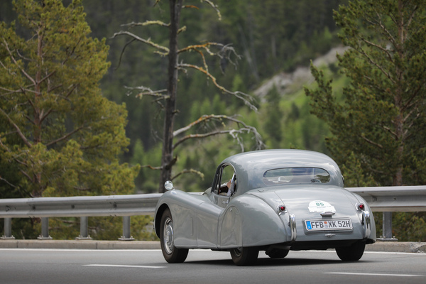 Jaguar XK 120 FHC (1952) - 30. BCCM St. Moritz “Safari Edition” 2024