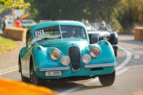 Jaguar XK 120 FHC SE (1952) - am Bergrennen Steckborn-Eichhölzli 2015 (1952)