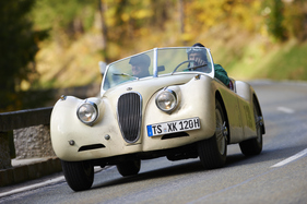 Jaguar XK 120 OTS (1950) - am Roßfeldrennen 2013 (1950)