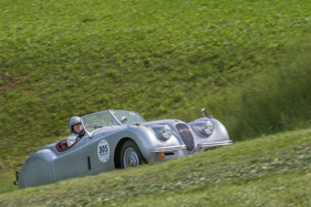 Jaguar XK 120 OTS (1951) an der Bergprüfung Altbüron 2017 - Feld 3