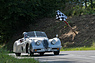 Jaguar XK 120 OTS (1951) an der Bergprüfung Altbüron 2017 - Feld 3 (© Balz Schreier, 2017) Jaguar XK 120 OTS (1951) an der Bergprüfung Altbüron 2017 - Feld 3 (© Balz Schreier, 2017)