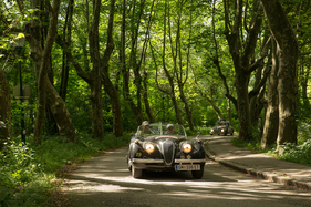 Jaguar XK 120 OTS (1952) - 33. Ennstal-Classic 2025