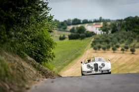 Jaguar XK 120 OTS (1952) - an der Mille Miglia 2014