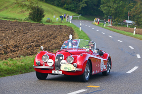 Jaguar XK 120 OTS (1953) - am Gempen Memorial 2014 (1953)