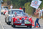 Bild: Jaguar XK 120 OTS (1953) - am Gempen Memorial 2014