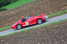 Jaguar XK 120 OTS (1953) - am Gempen Memorial 2014